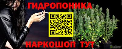 молекула духа Конаково