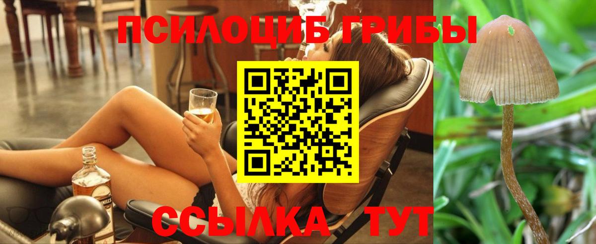 Шарыпово  продажа наркотиков  Вход с VPN  Псилоцибиновые грибы Magic Shrooms 