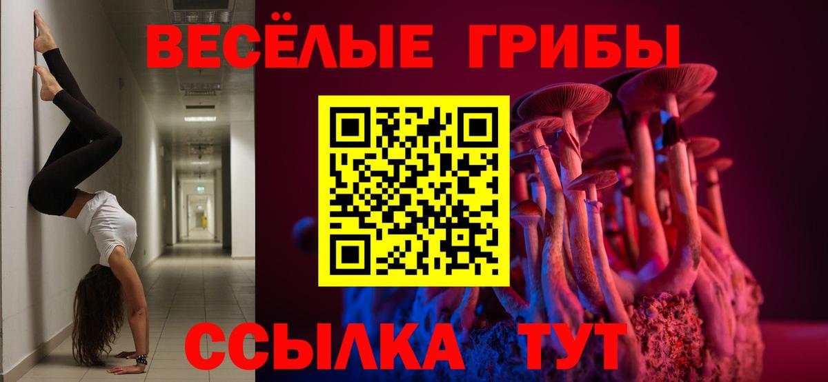 Галлюциногенные грибы Psilocybine cubensis Шарыпово